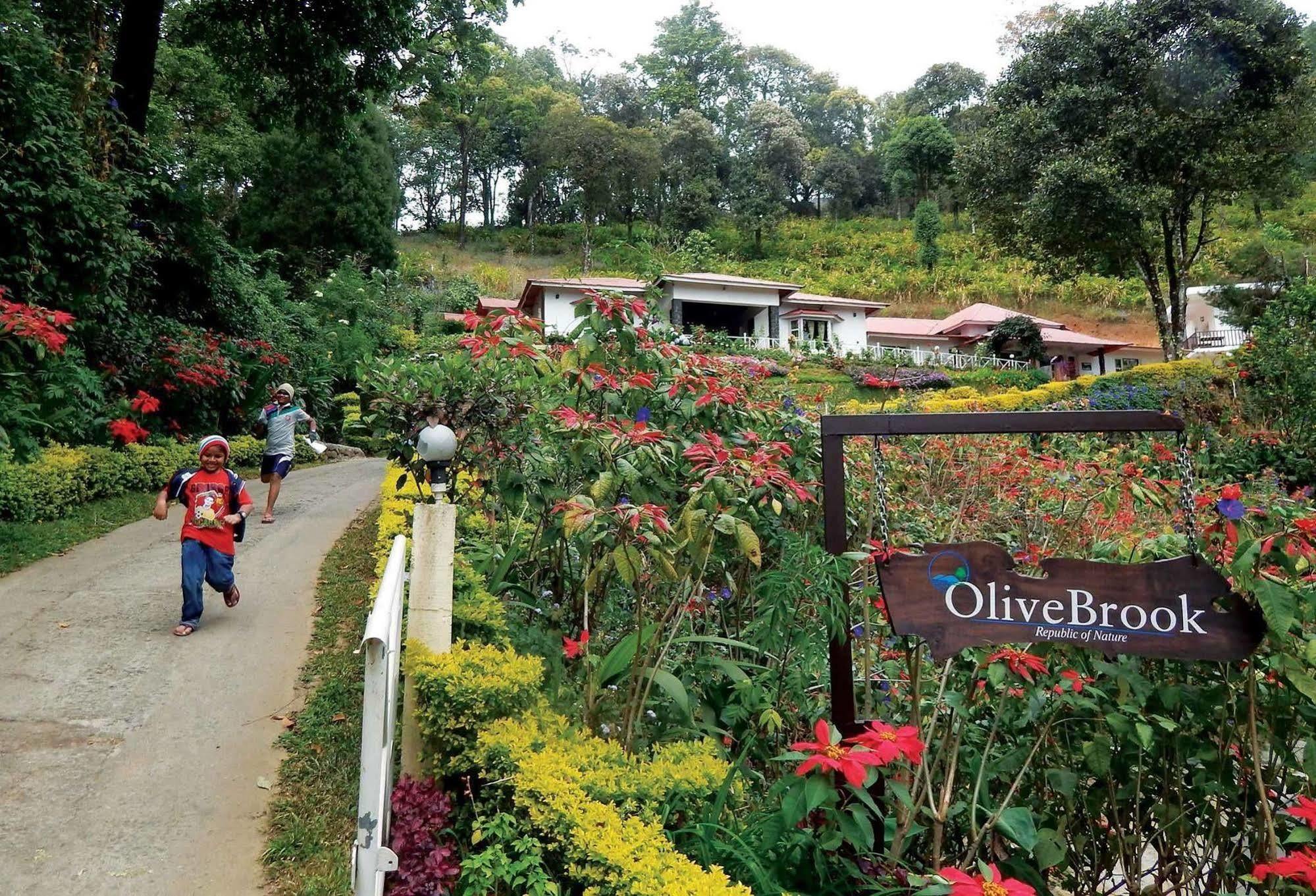 Olive Brook Hotel Munnar Exterior photo